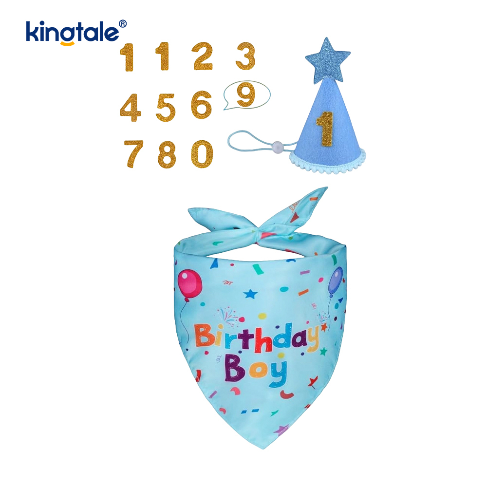 Huisdier verjaardag Bandana Set