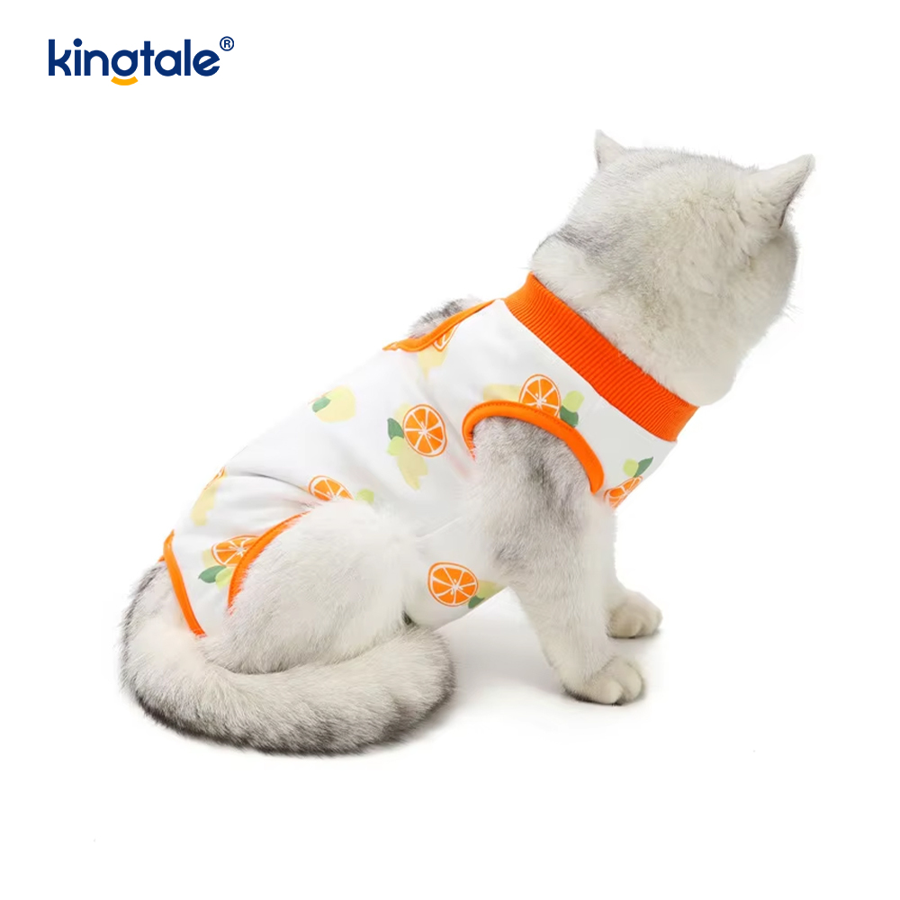 Herstelkleding voor honden