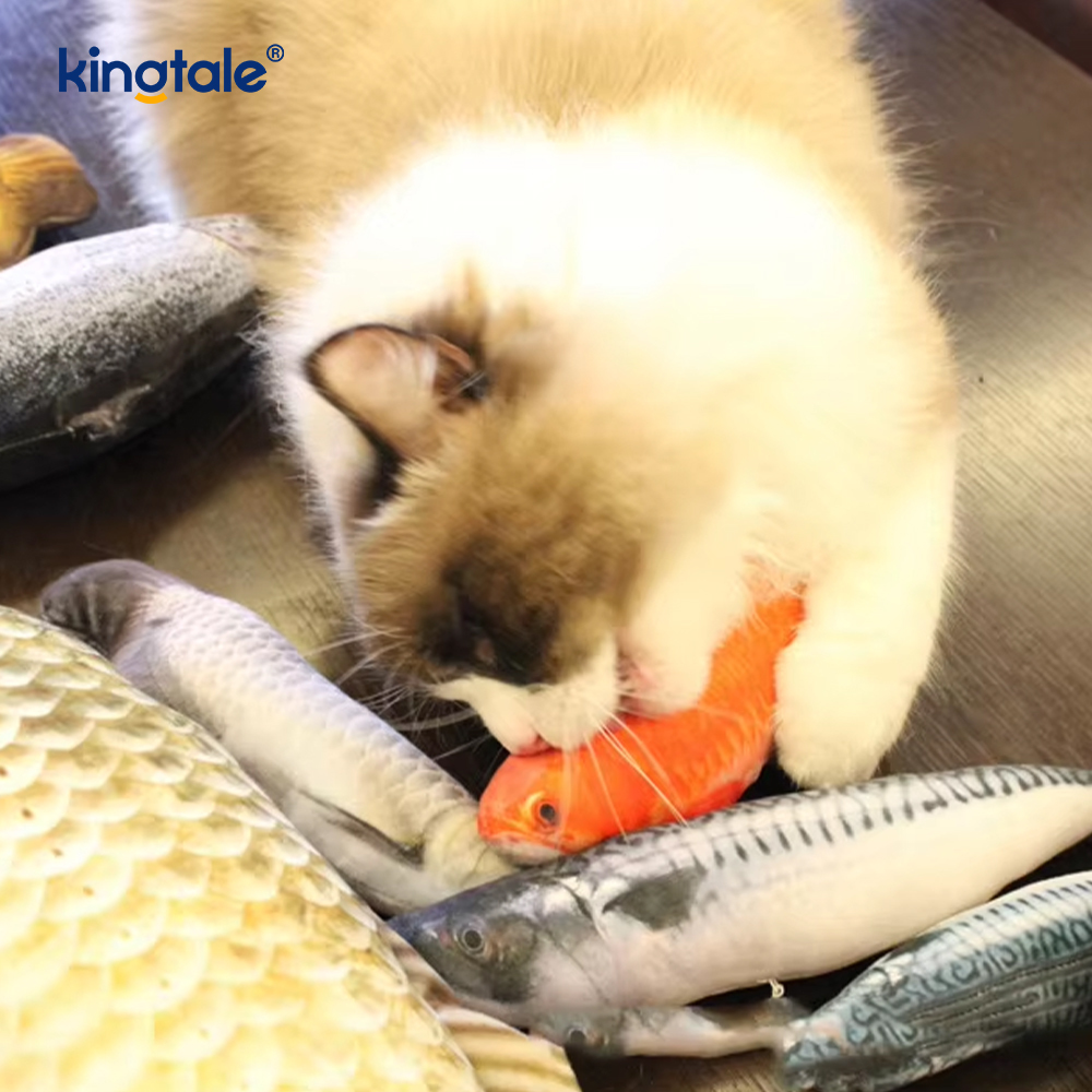 Knuffel voor kat