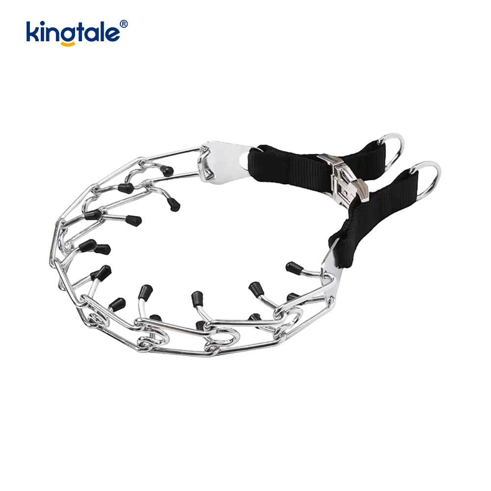 Hondenhalsband met metalen gesp