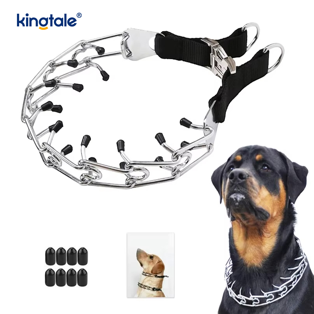 Hondenhalsband met metalen gesp