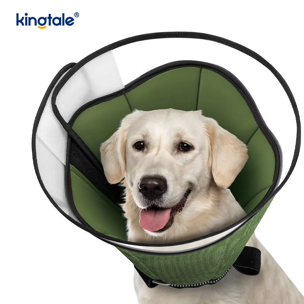 Zachte hondenkegel voor honden na een operatie
