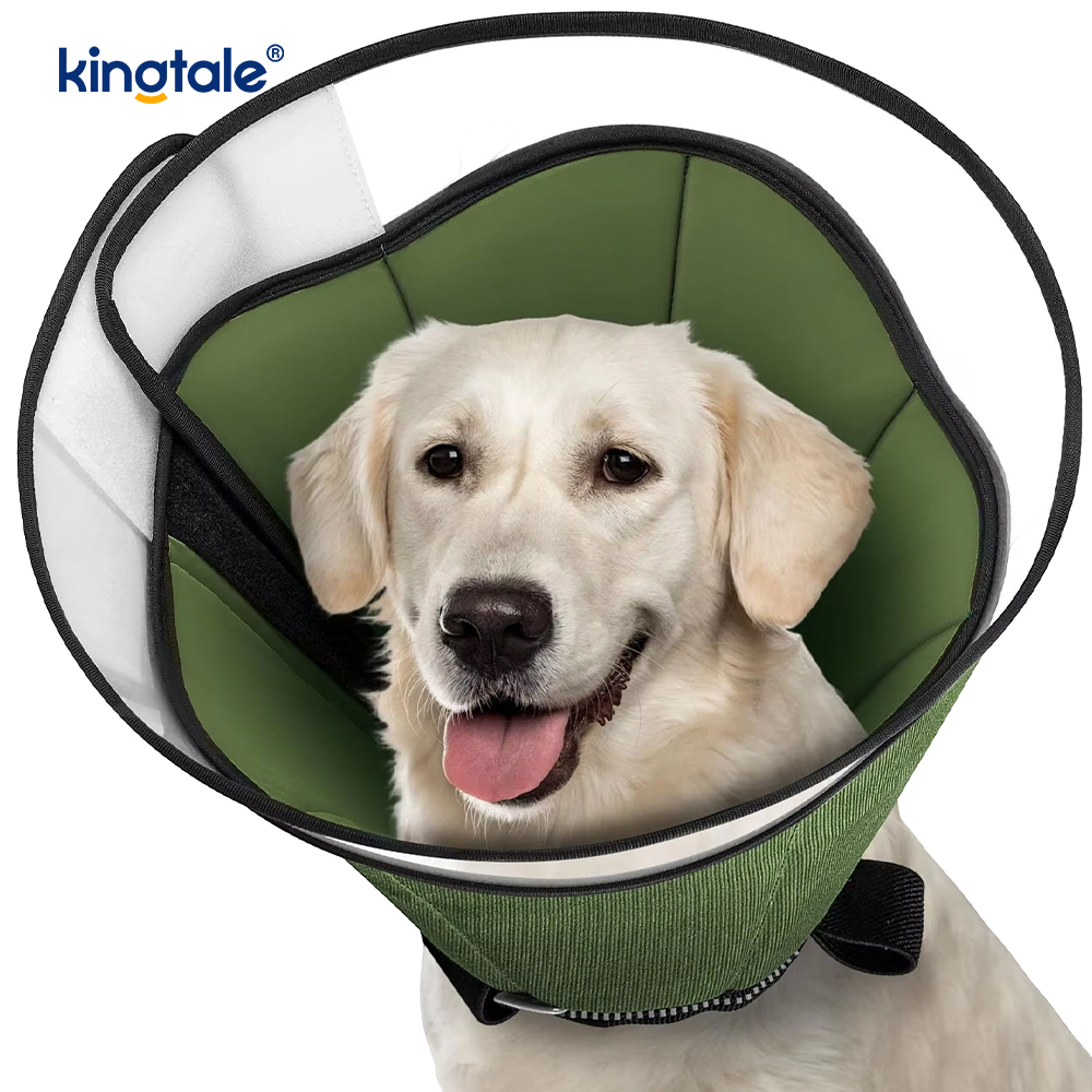 Zachte hondenkegel voor honden na een operatie