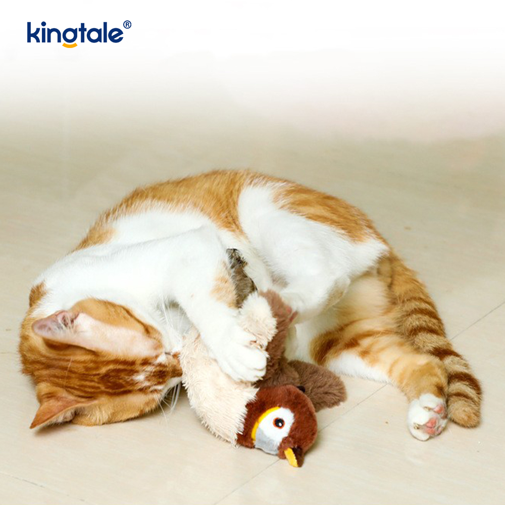 Gesimuleerde Sparrow huisdier knuffel voor alle rassen Cat Kicker Catnip Toys Sparrow