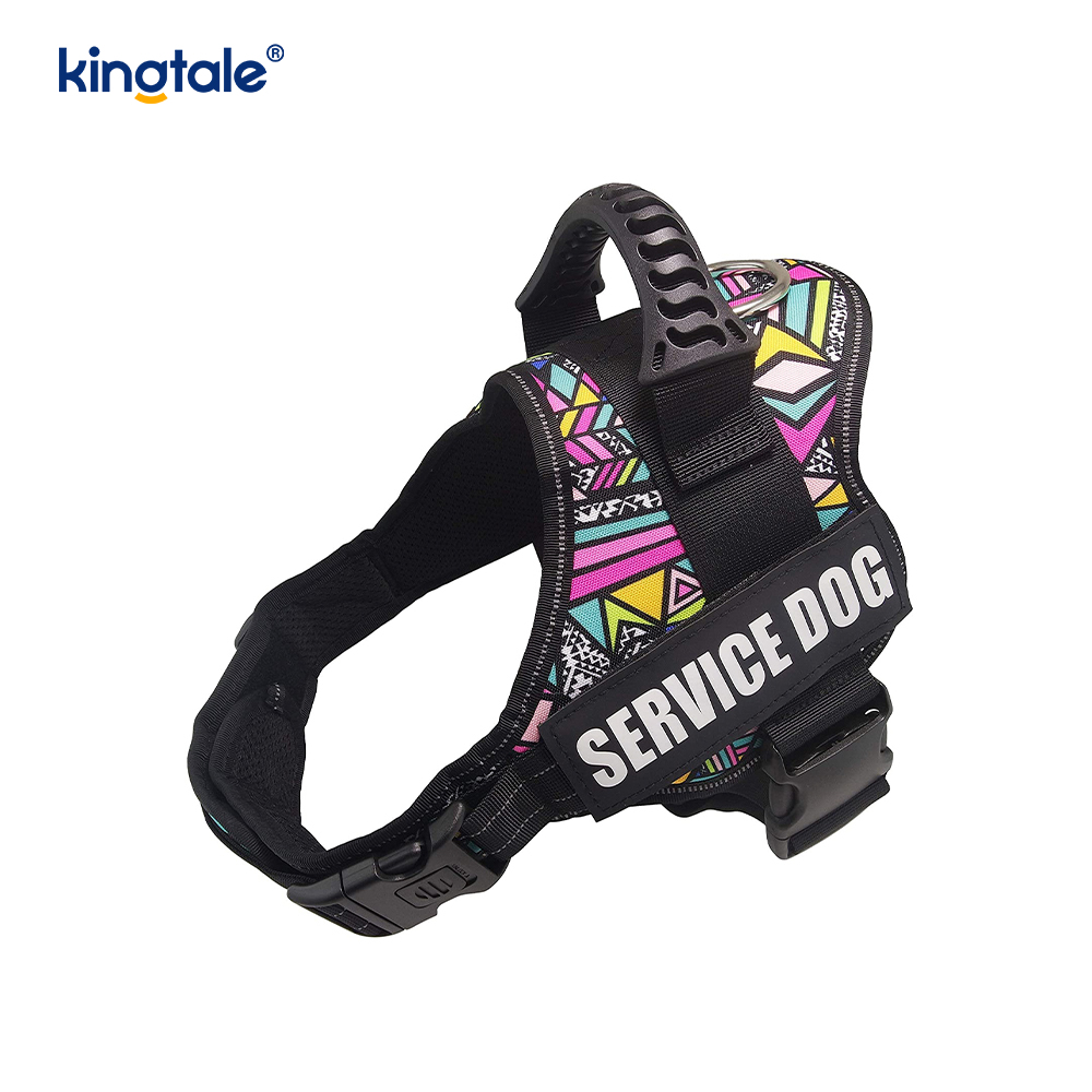 Geen trek-reflecterend designer hondentuig Stevige nylon touw hondenriem