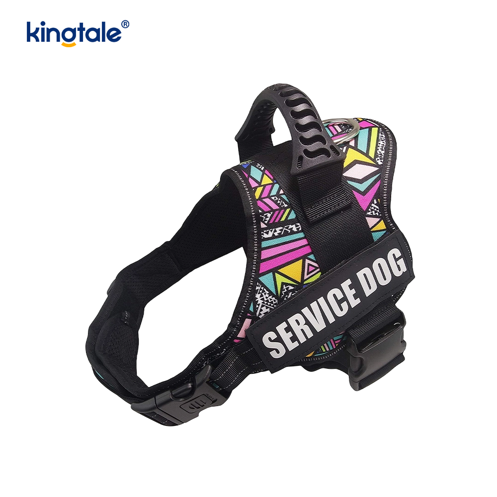 Geen trek-reflecterend designer hondentuig Stevige nylon touw hondenriem