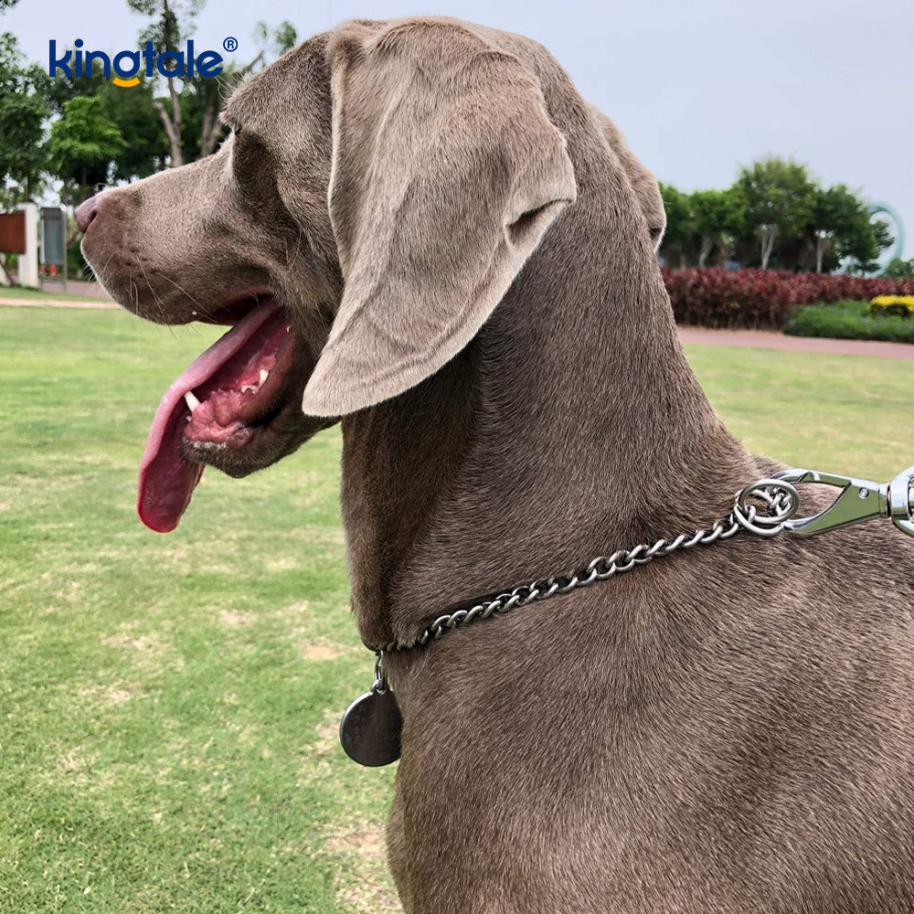 Metalen trainingshond-choke-halsband Slip P-ketting Zware ketting voor honden