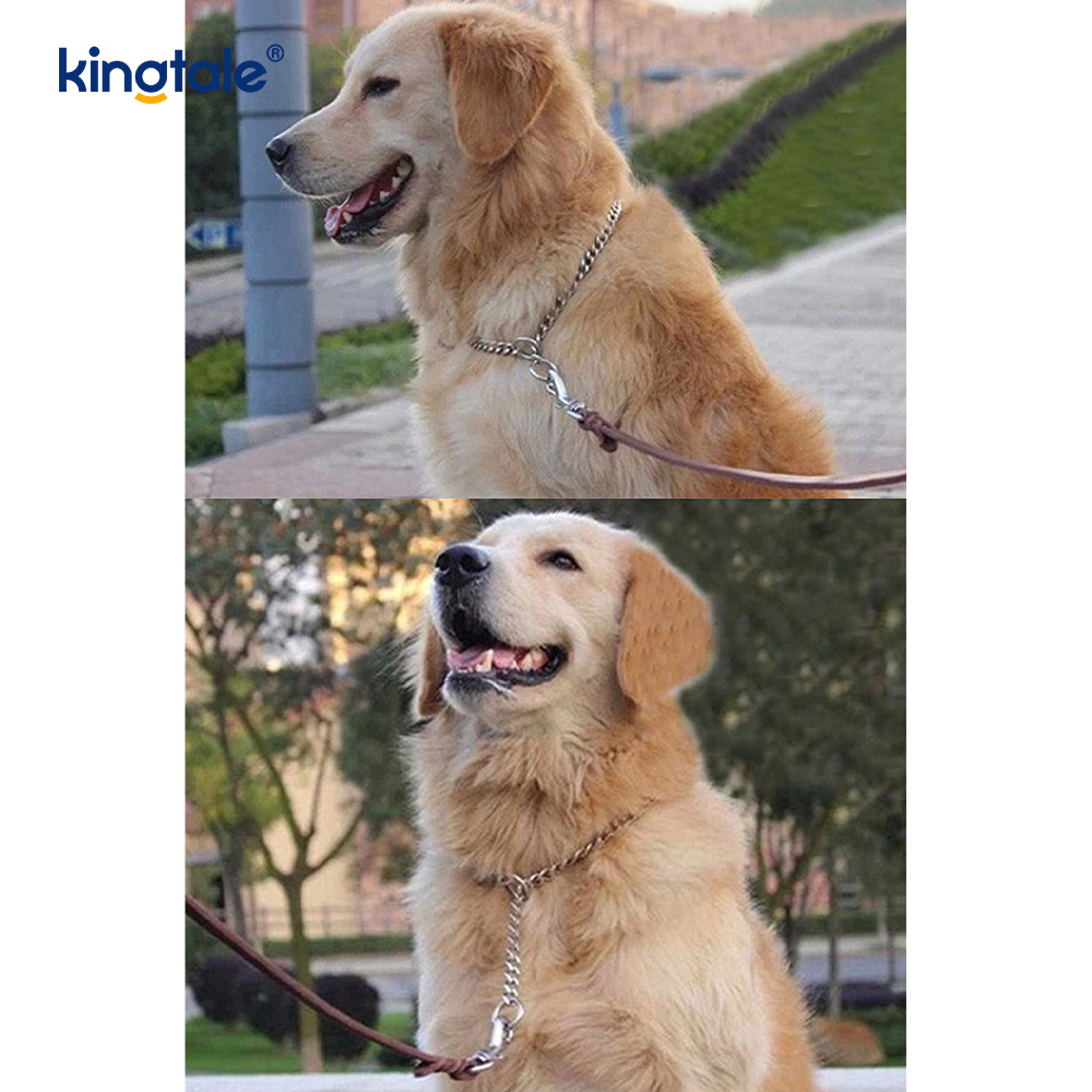 Metalen trainingshond-choke-halsband Slip P-ketting Zware ketting voor honden