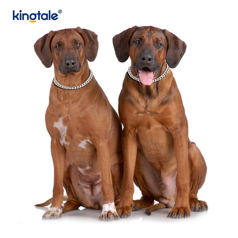 Metalen trainingshond-choke-halsband Slip P-ketting Zware ketting voor honden