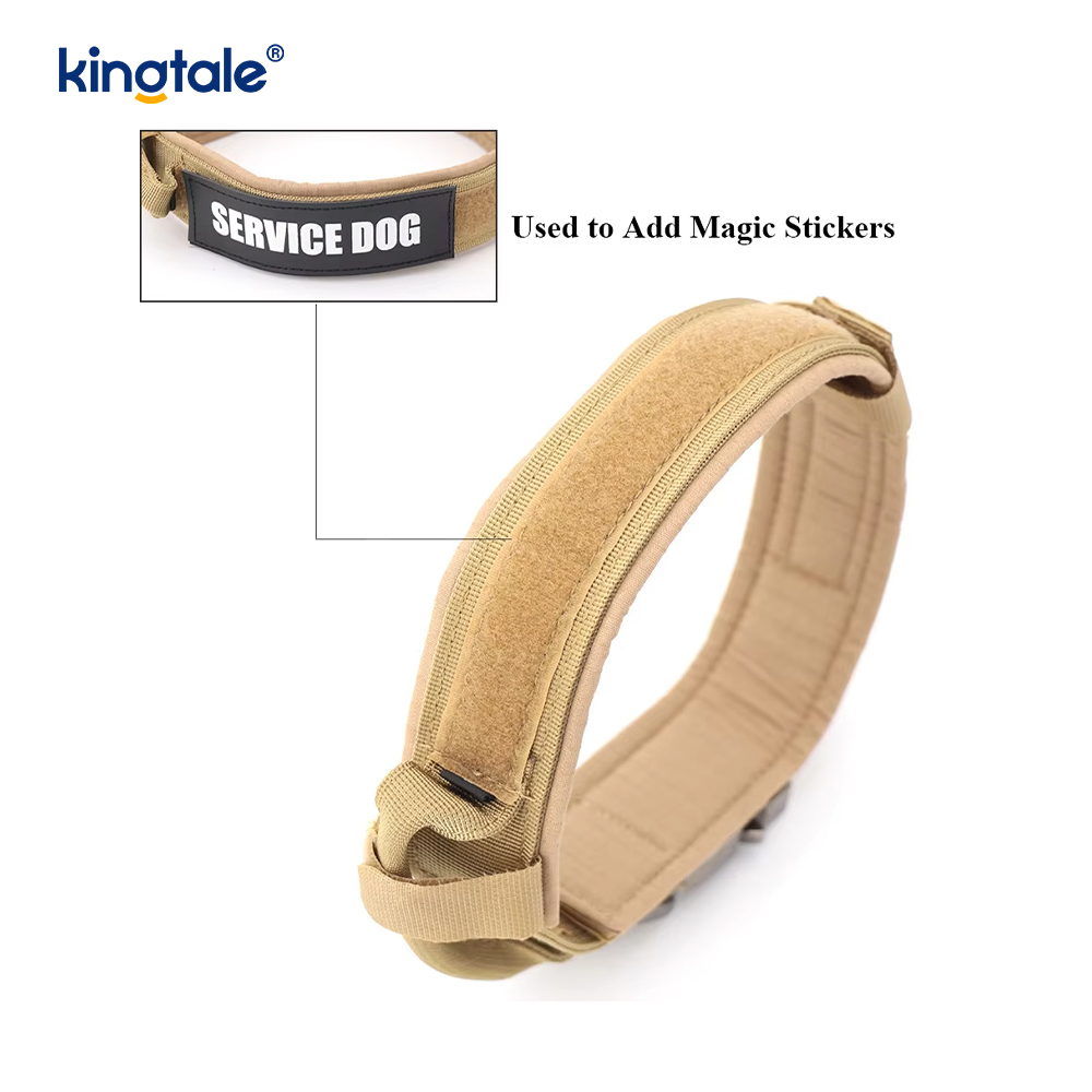 Hondenhalsband met metalen gesp, zware halsband, zwaar uitgevoerd