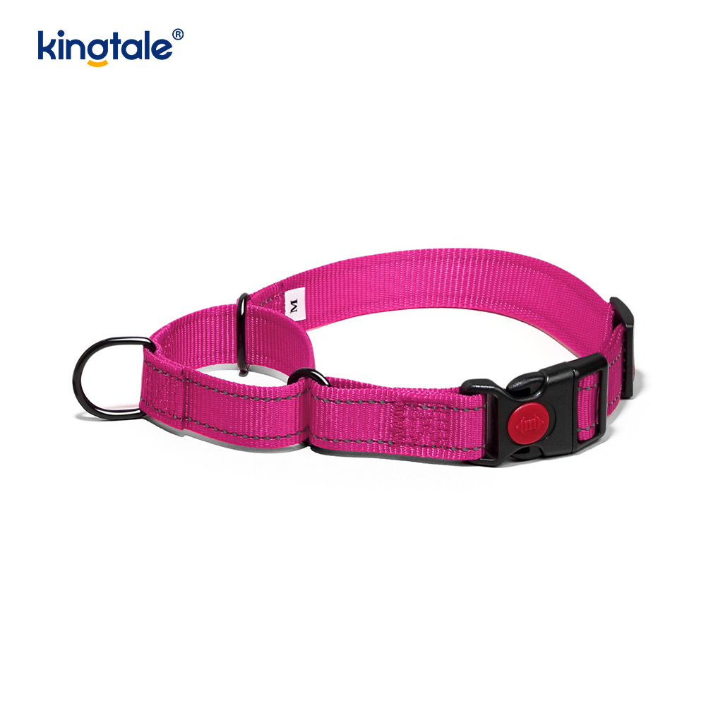 Geen trekkracht reflecterende verstelbare nylon Martingaal halsband voor kleine honden