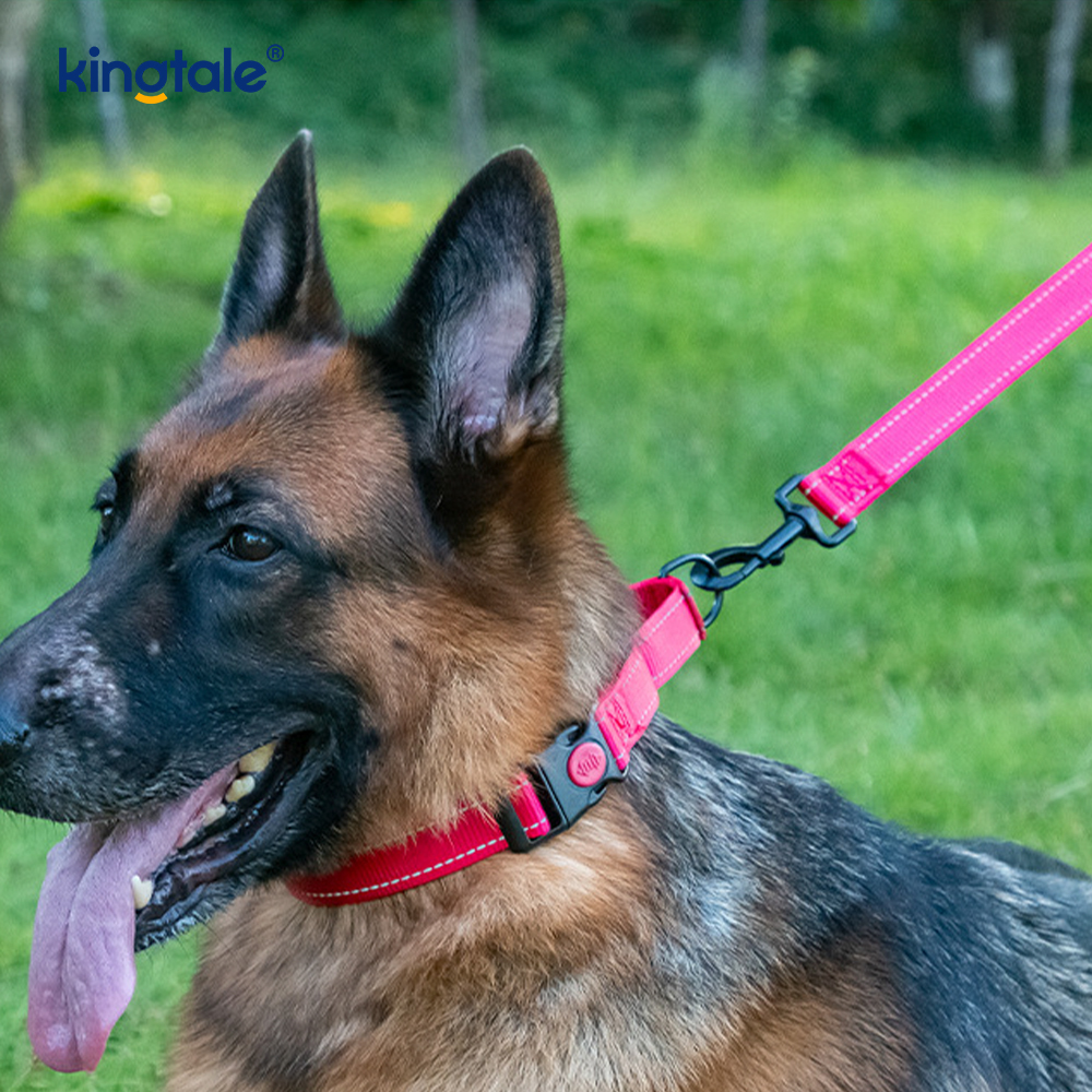 Geen trekkracht reflecterende verstelbare nylon Martingaal halsband voor kleine honden