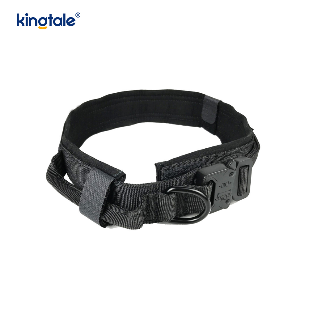 Hondenhalsband met metalen gesp, zware halsband, zwaar uitgevoerd