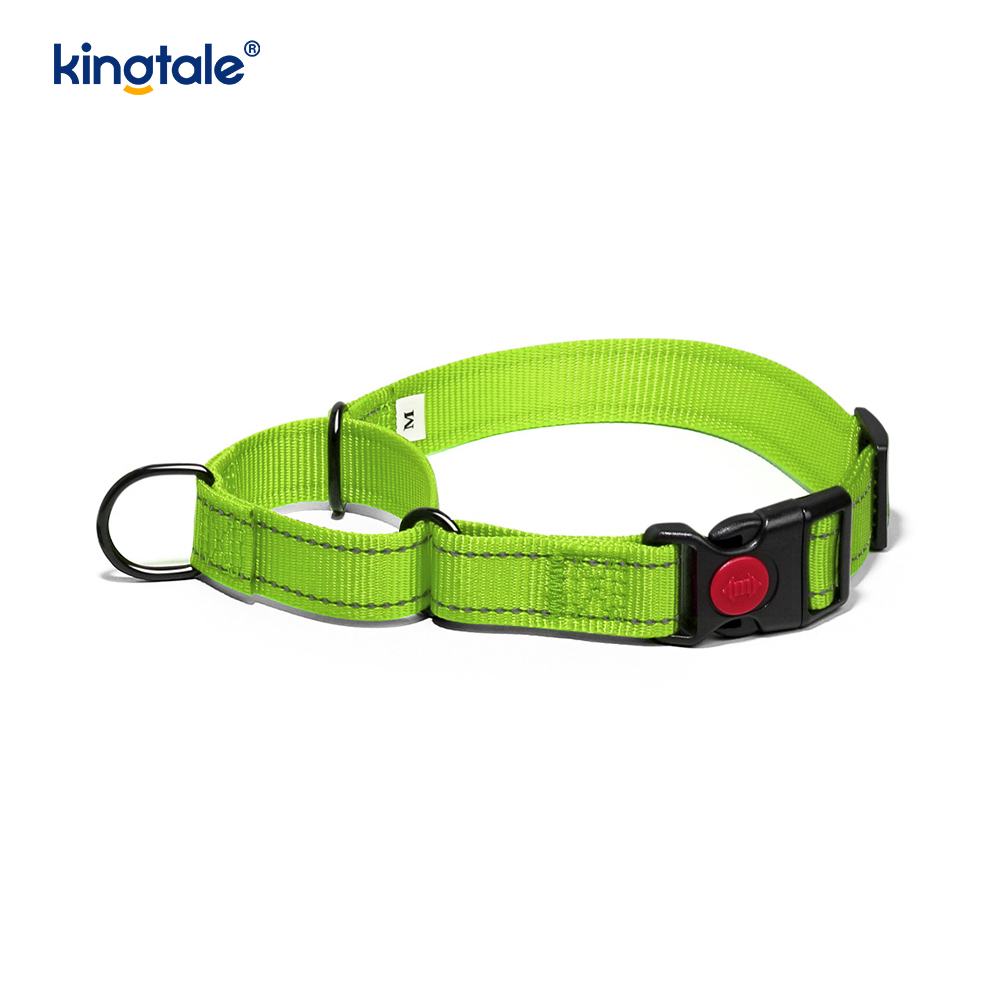Geen trekkracht reflecterende verstelbare nylon Martingaal halsband voor kleine honden