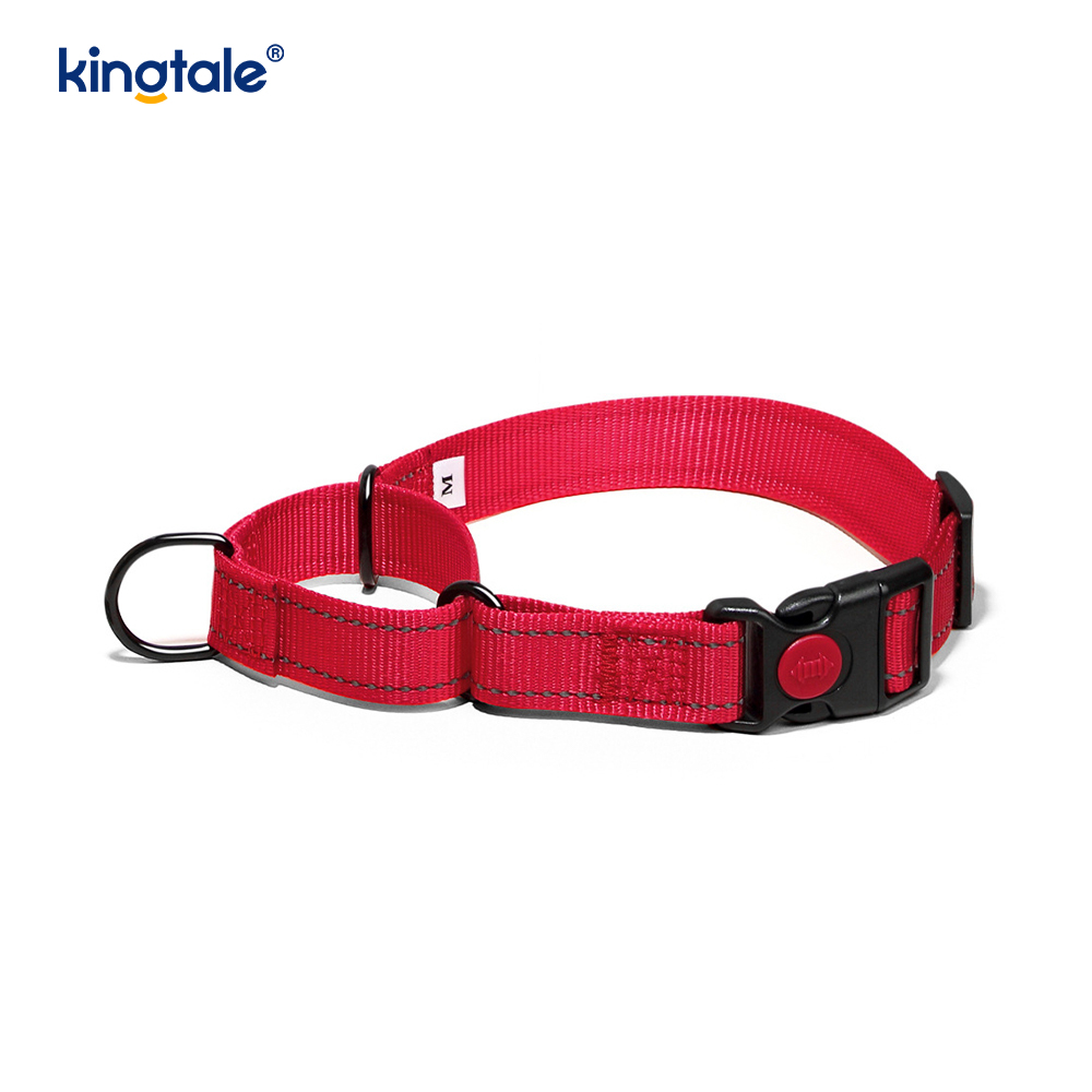 Geen trekkracht reflecterende verstelbare nylon Martingaal halsband voor kleine honden