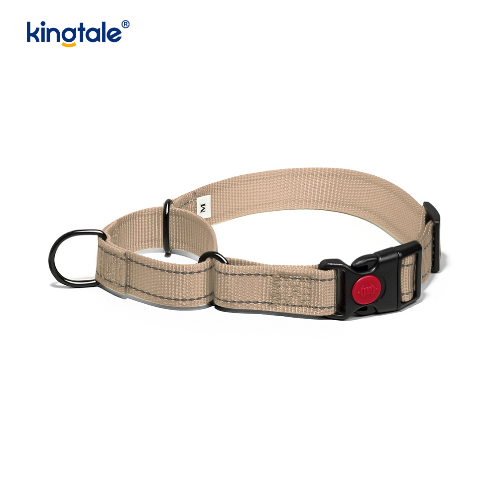 Geen trekkracht reflecterende verstelbare nylon Martingaal halsband voor kleine honden