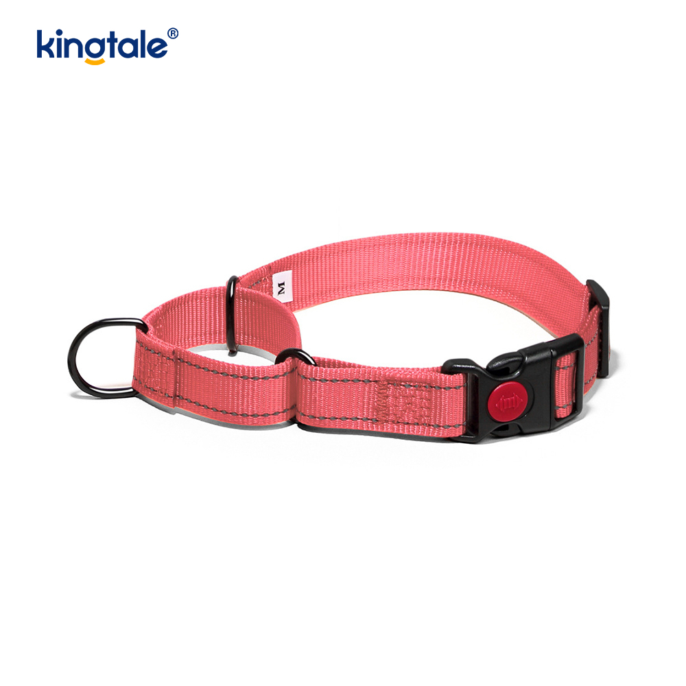 Geen trekkracht reflecterende verstelbare nylon Martingaal halsband voor kleine honden