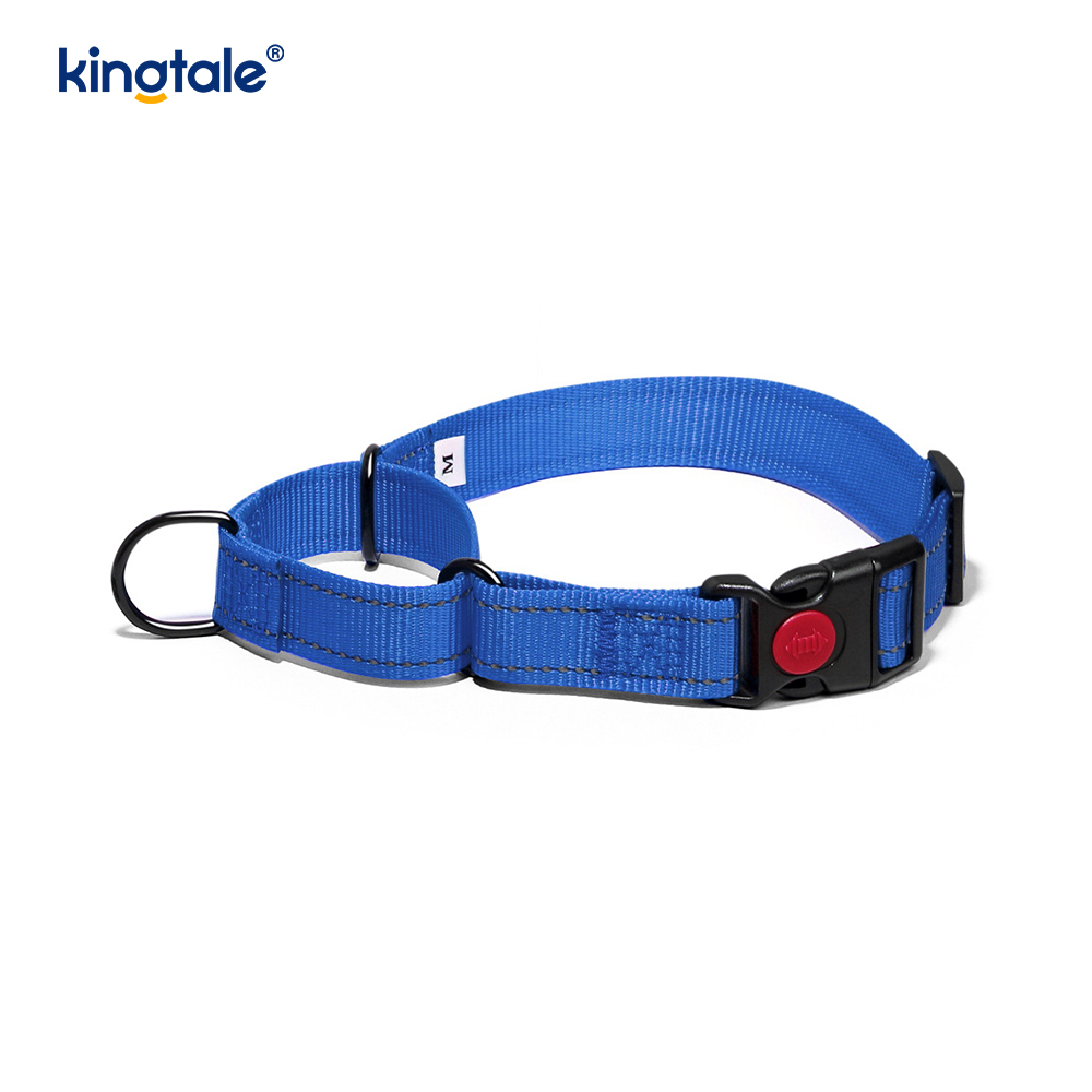Geen trekkracht reflecterende verstelbare nylon Martingaal halsband voor kleine honden