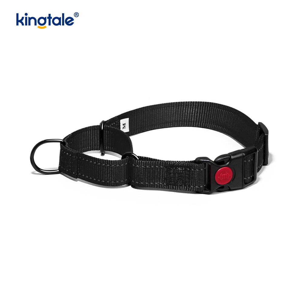 Geen trekkracht reflecterende verstelbare nylon Martingaal halsband voor kleine honden