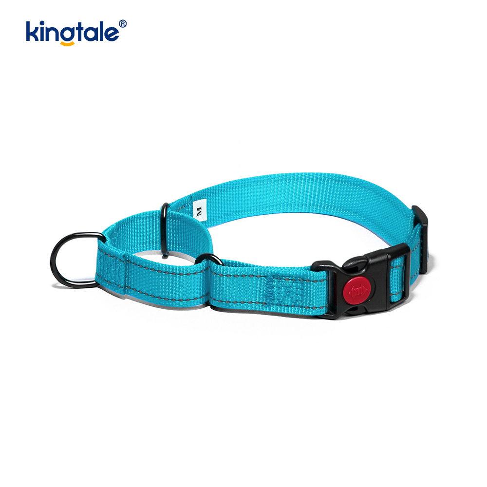 Geen trekkracht reflecterende verstelbare nylon Martingaal halsband voor kleine honden