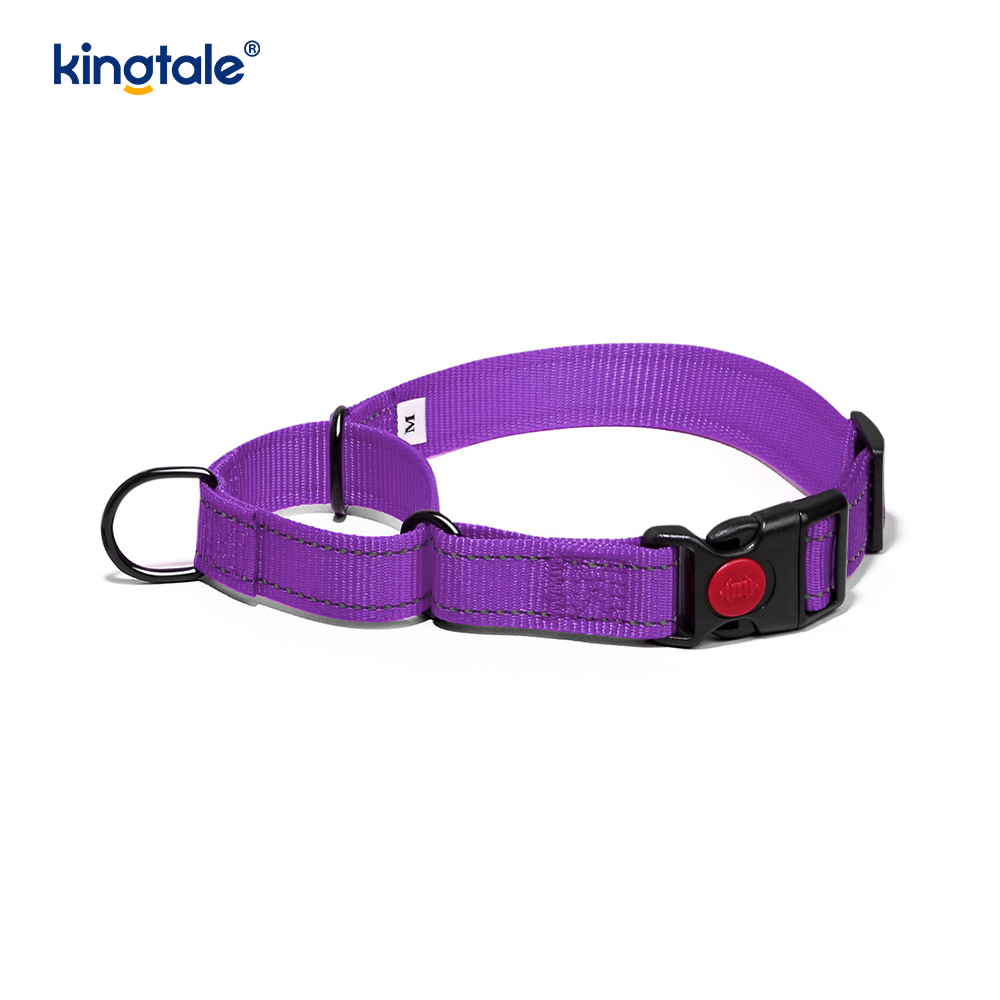 Geen trekkracht reflecterende verstelbare nylon Martingaal halsband voor kleine honden