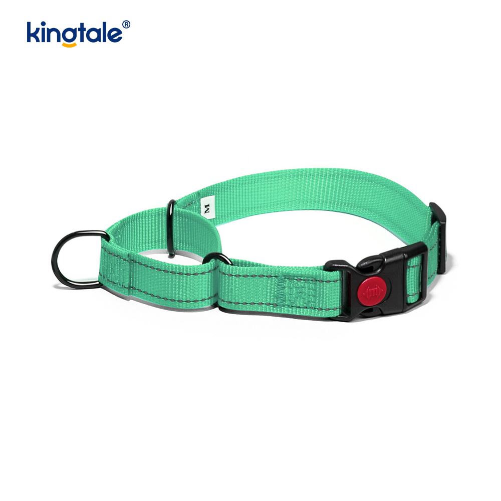 Geen trekkracht reflecterende verstelbare nylon Martingaal halsband voor kleine honden