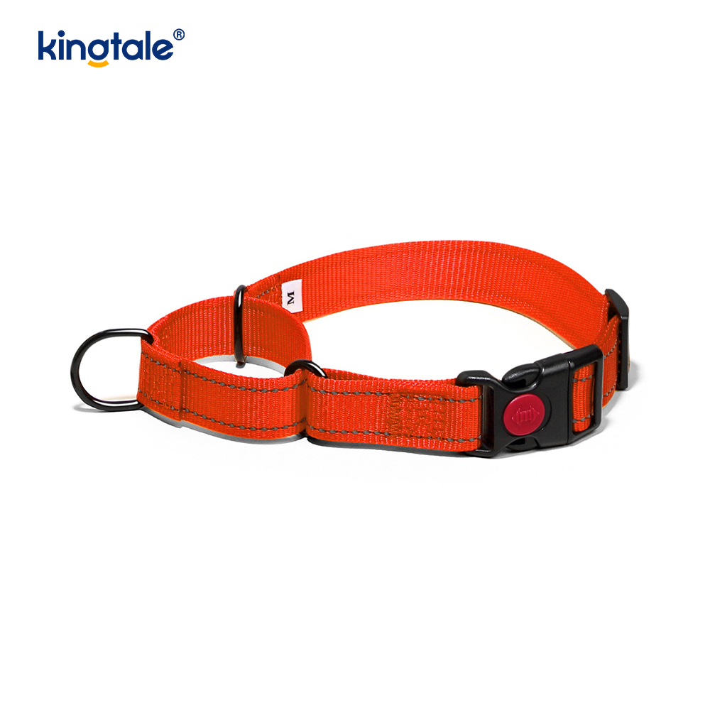Geen trekkracht reflecterende verstelbare nylon Martingaal halsband voor kleine honden