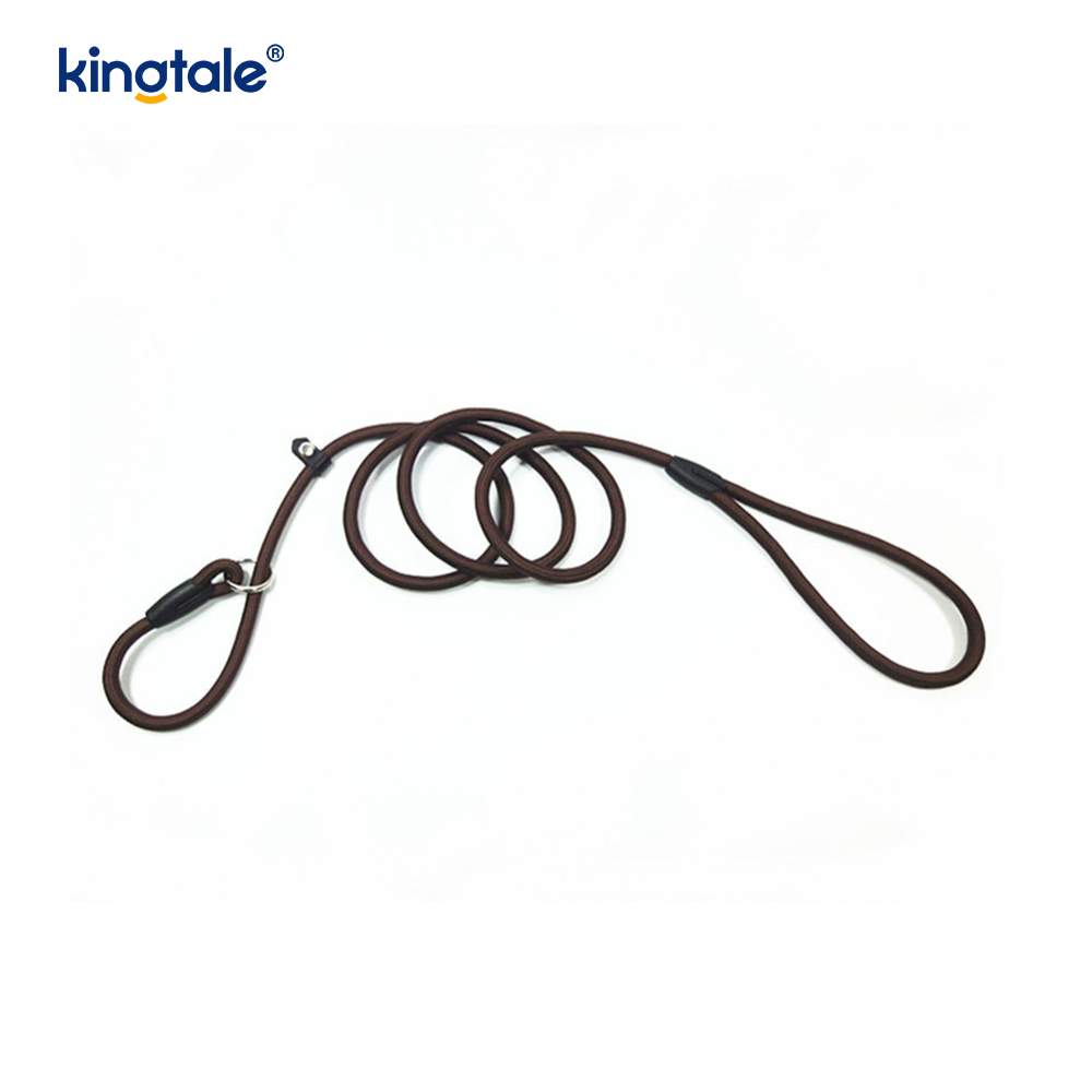 Slip Lead Hondenriem Sterke nylon touwriem Hondentrainingsriem voor huisdieren