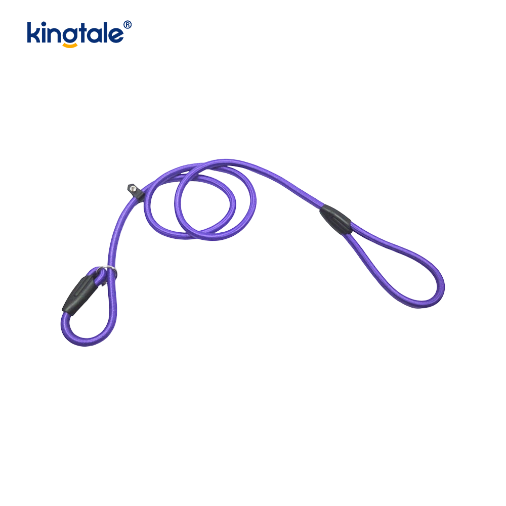Slip Lead Hondenriem Sterke nylon touwriem Hondentrainingsriem voor huisdieren