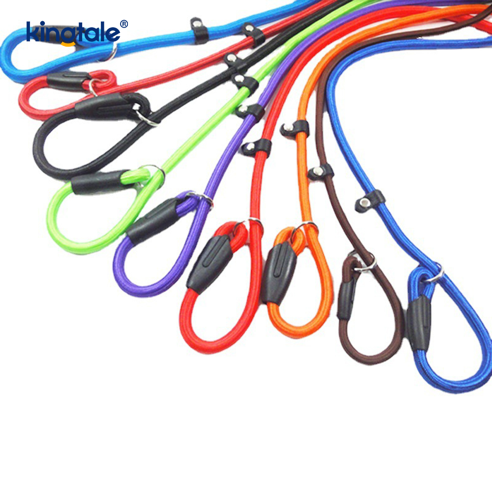 Slip Lead Hondenriem Sterke nylon touwriem Hondentrainingsriem voor huisdieren