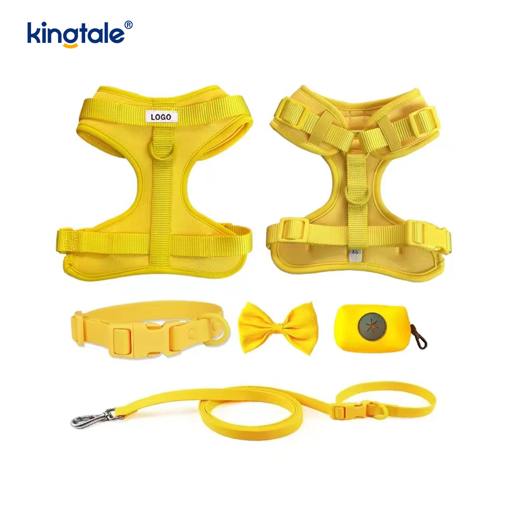 Aangepaste modieuze lichtgewicht waterdichte PVC hondenharnas riem halsband