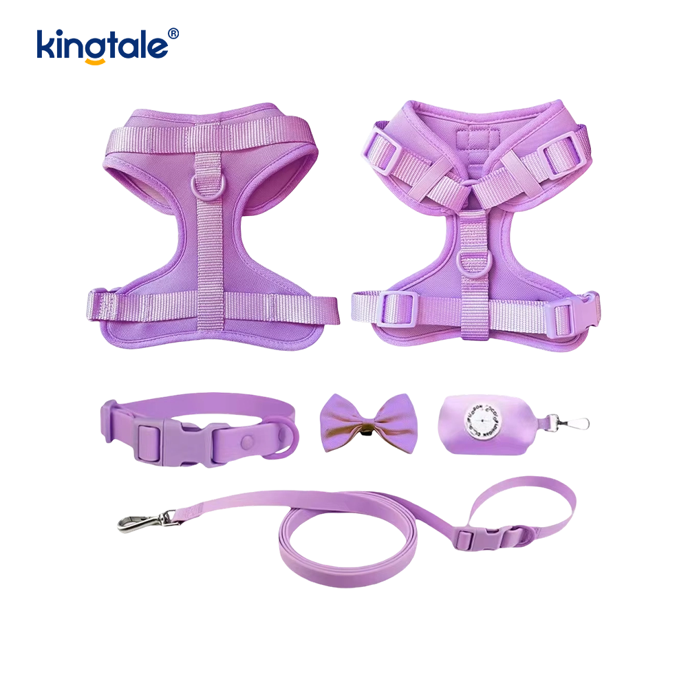 Aangepaste modieuze lichtgewicht waterdichte PVC hondenharnas riem halsband