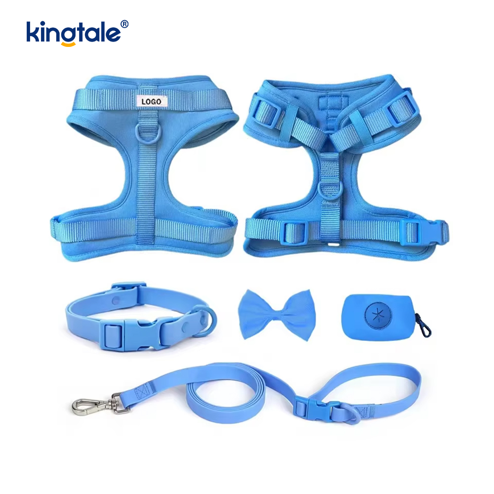 Aangepaste modieuze lichtgewicht waterdichte PVC hondenharnas riem halsband
