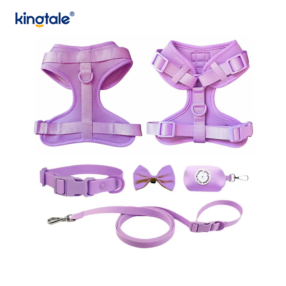 Aangepaste modieuze lichtgewicht waterdichte PVC hondenharnas riem halsband