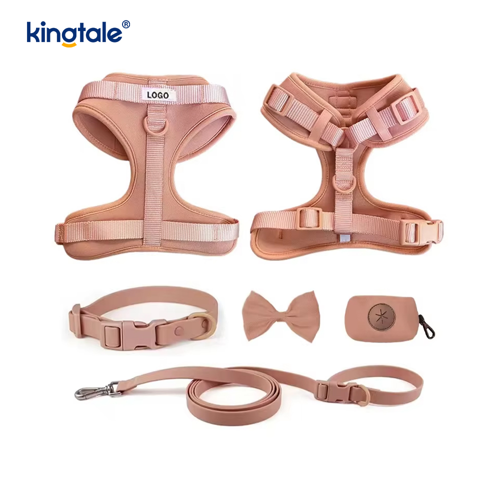 Aangepaste modieuze lichtgewicht waterdichte PVC hondenharnas riem halsband