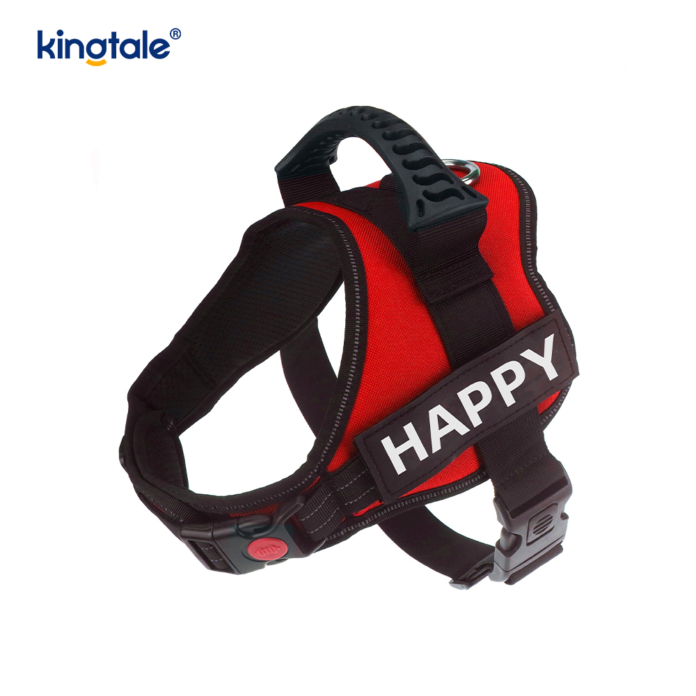 Geen trek-reflecterend designer hondenharnas Stevige nylon touw hondenriem