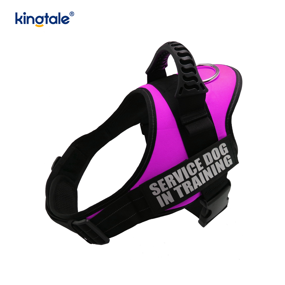 Geen trek-reflecterend designer hondenharnas Stevige nylon touw hondenriem