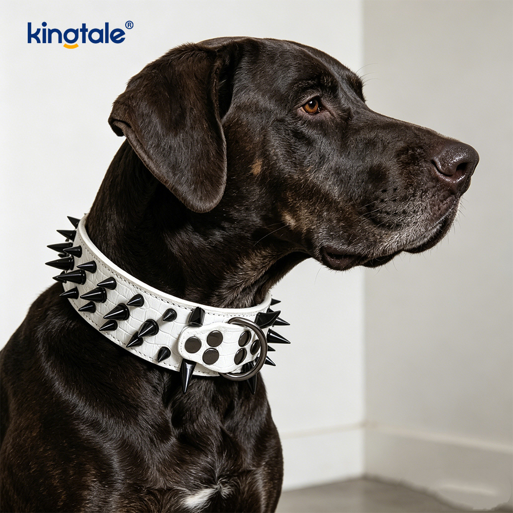 Scherpe hondenhalsband met puntige studs. Stijlvolle leren halsbanden