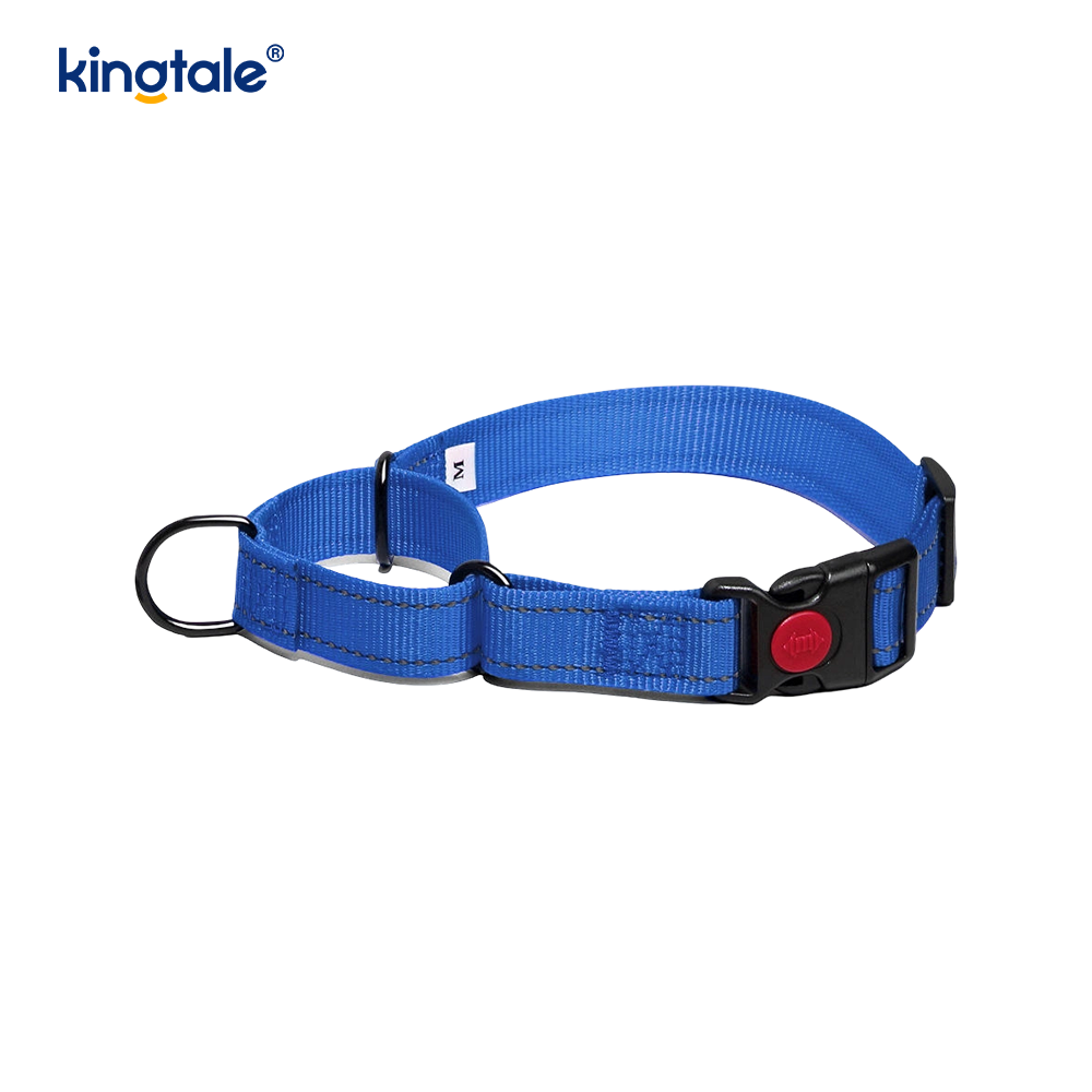 Quick Release No Pull reflecterende verstelbare nylon Martingale halsband