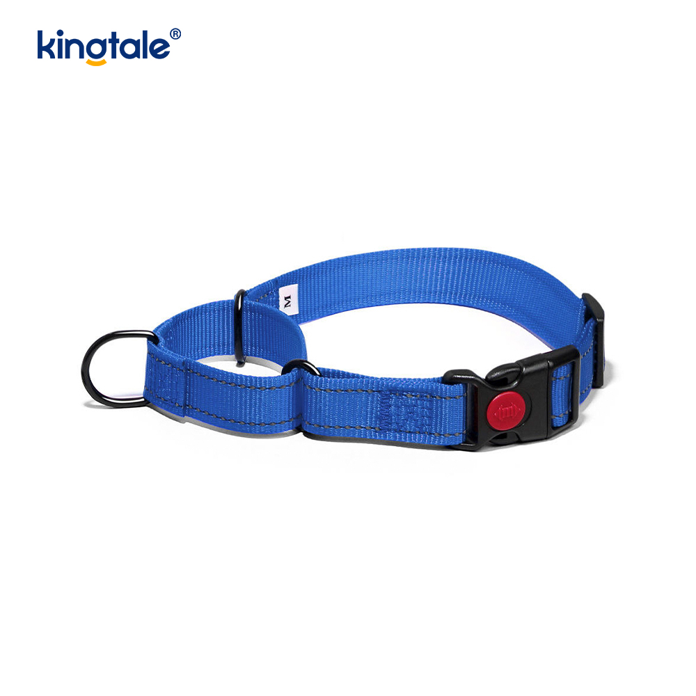 Quick Release No Pull reflecterende verstelbare nylon Martingale halsband