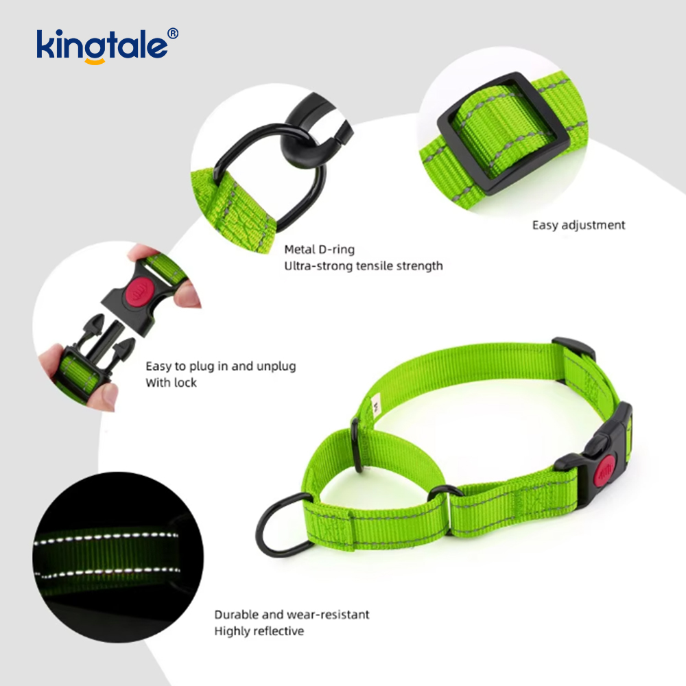 Quick Release No Pull reflecterende verstelbare nylon Martingale halsband