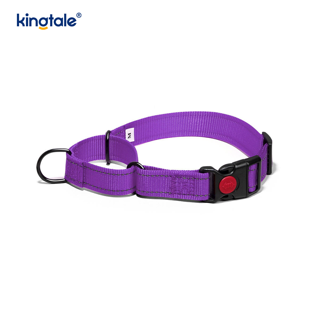 Quick Release No Pull reflecterende verstelbare nylon Martingale halsband