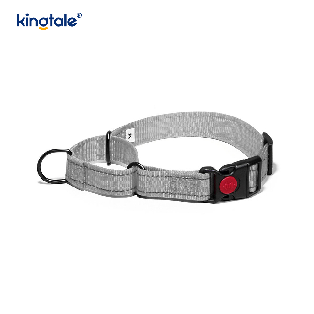 Quick Release No Pull reflecterende verstelbare nylon Martingale halsband