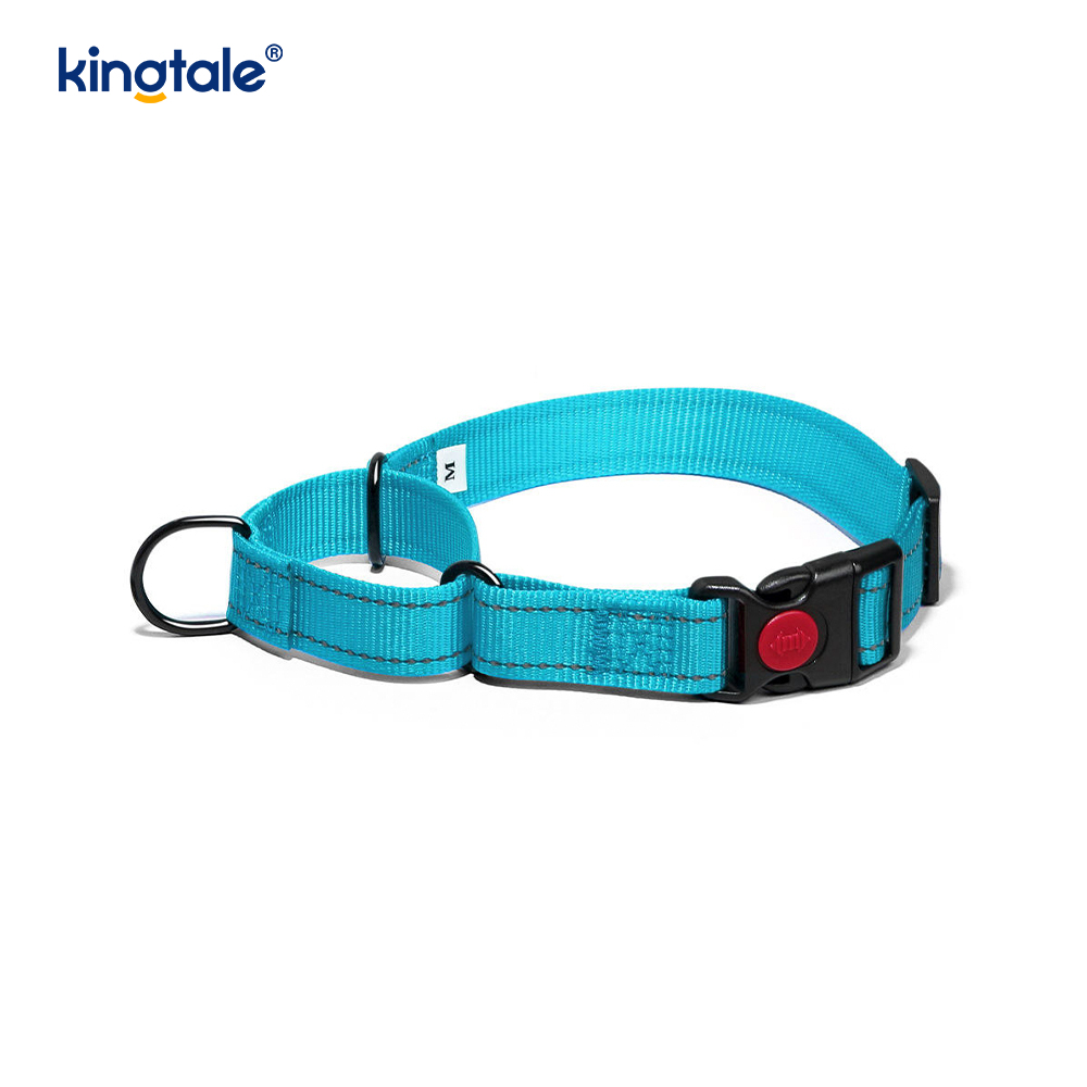 Quick Release No Pull reflecterende verstelbare nylon Martingale halsband