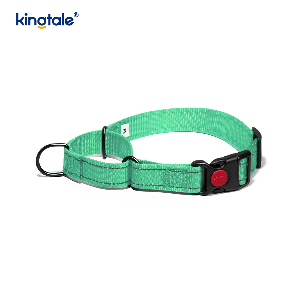 Quick Release No Pull reflecterende verstelbare nylon Martingale halsband