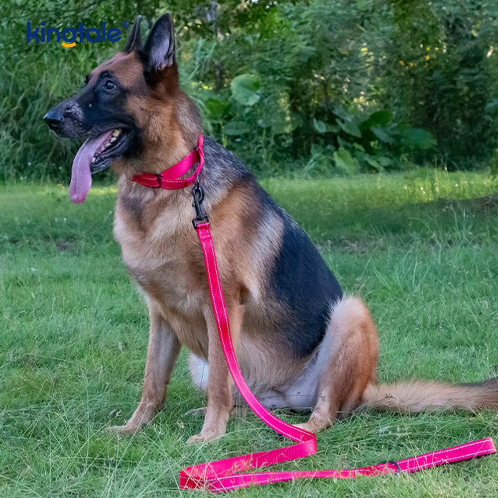 Quick Release No Pull reflecterende verstelbare nylon Martingale halsband