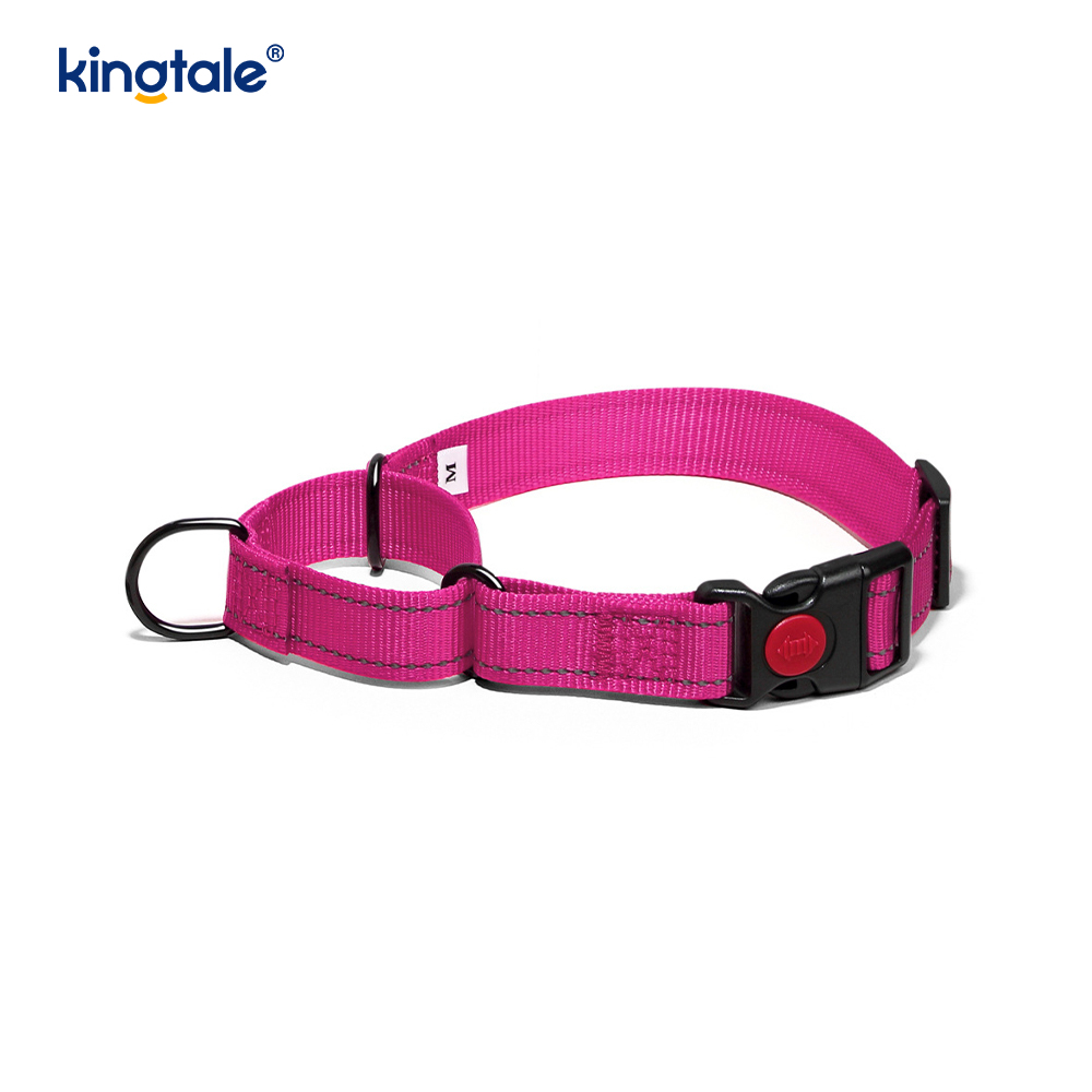 Quick Release No Pull reflecterende verstelbare nylon Martingale halsband