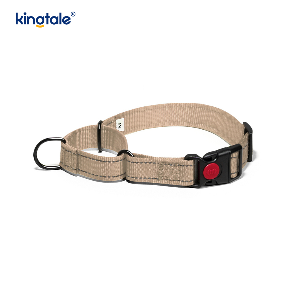 Quick Release No Pull reflecterende verstelbare nylon Martingale halsband