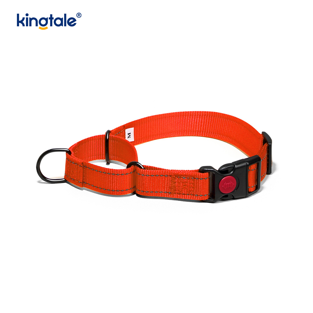 Quick Release No Pull reflecterende verstelbare nylon Martingale halsband