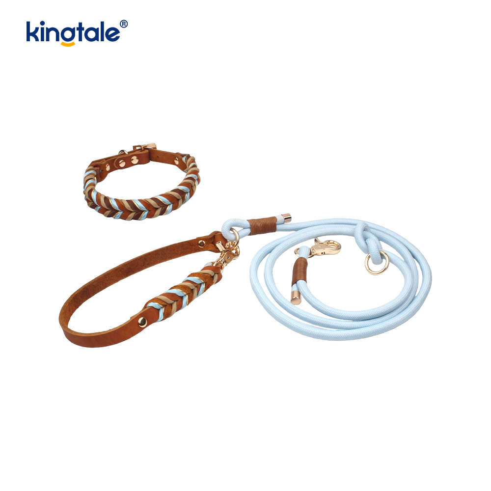 Zachte en duurzame lederen halsband en riemset